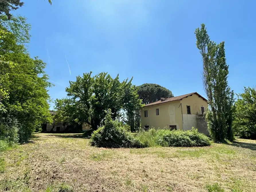 Immagine 28 di Casa colonica in vendita  a San Miniato