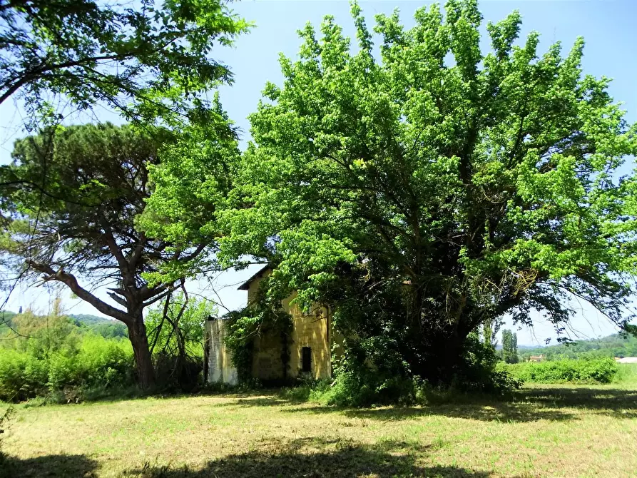 Immagine 29 di Casa colonica in vendita  a San Miniato