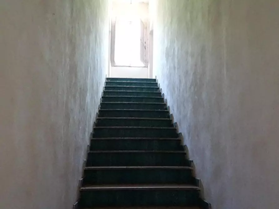 Immagine 21 di Casa colonica in vendita  a San Miniato