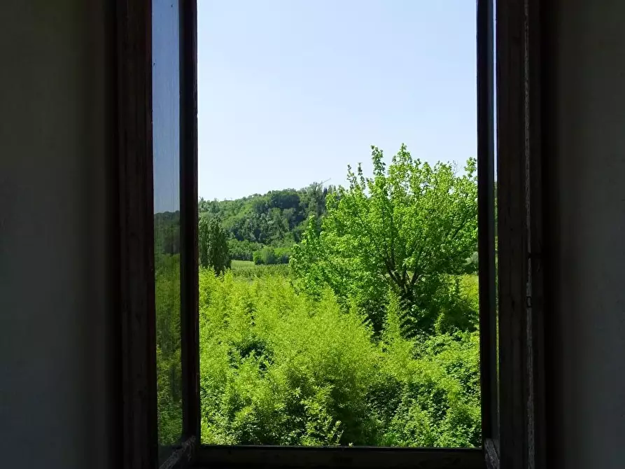 Immagine 27 di Casa colonica in vendita  a San Miniato