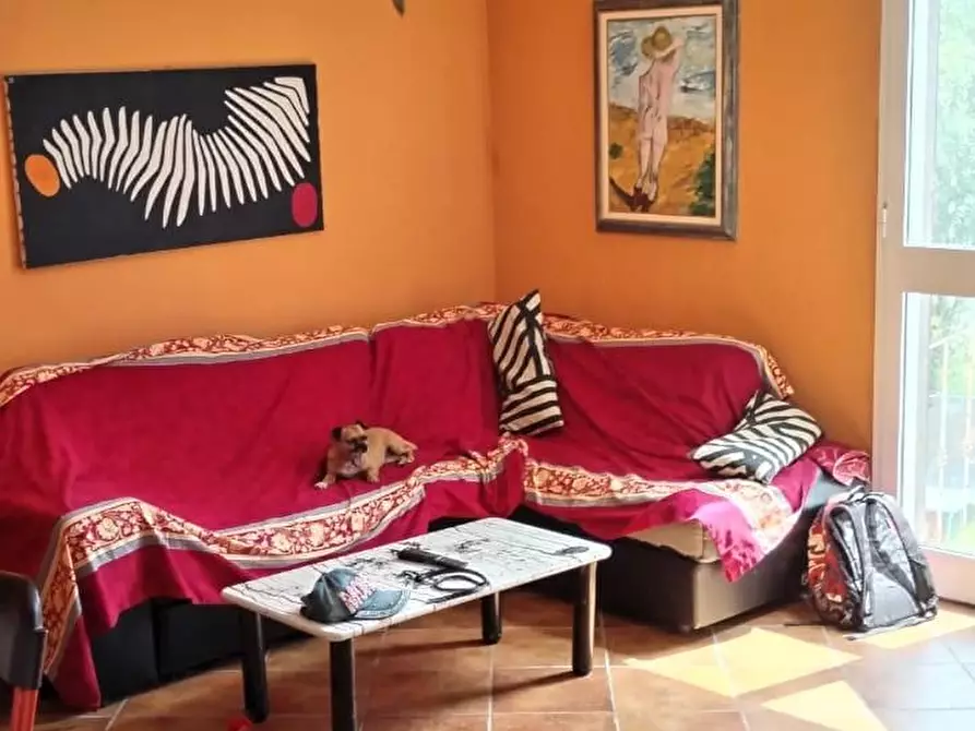 Immagine 20 di Casa semindipendente in vendita  a Massa