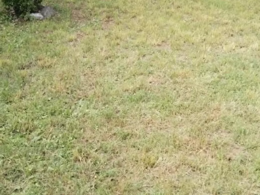 Immagine 3 di Casa semindipendente in vendita  a Massa