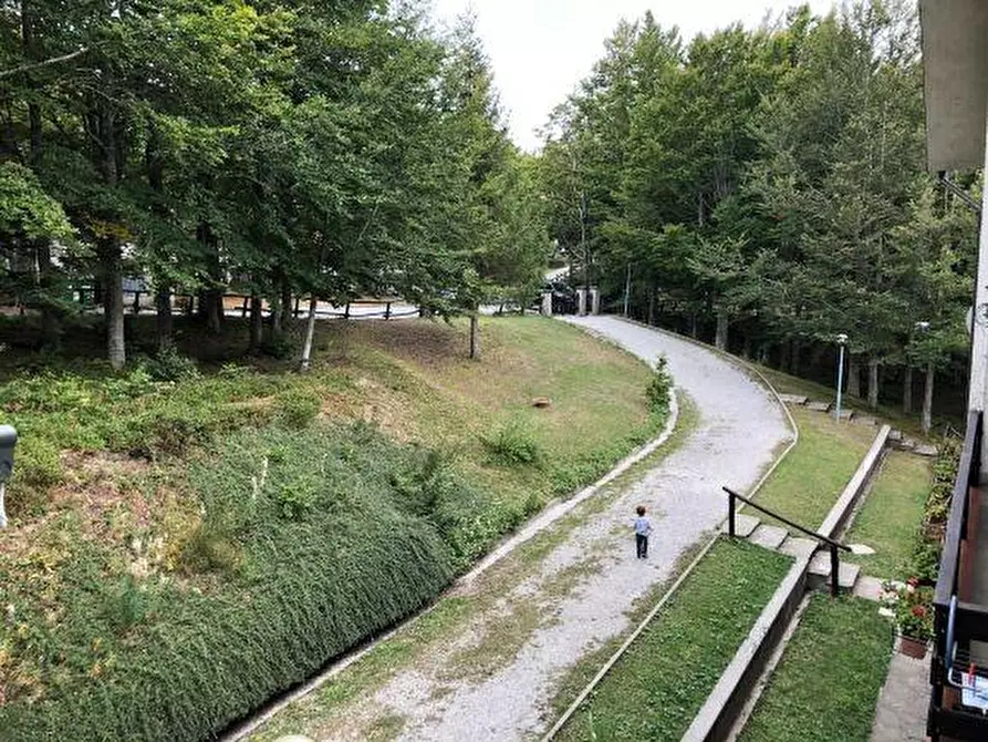 Immagine 13 di Appartamento in vendita  a Abetone Cutigliano