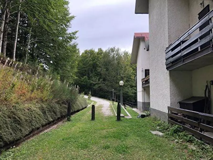 Immagine 14 di Appartamento in vendita  a Abetone Cutigliano