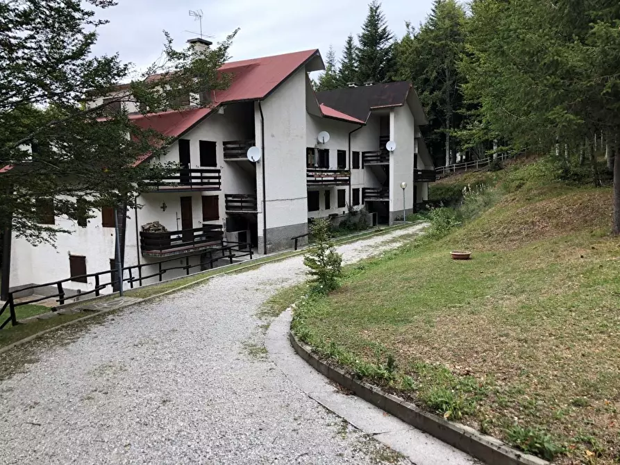 Immagine 16 di Appartamento in vendita  a Abetone Cutigliano