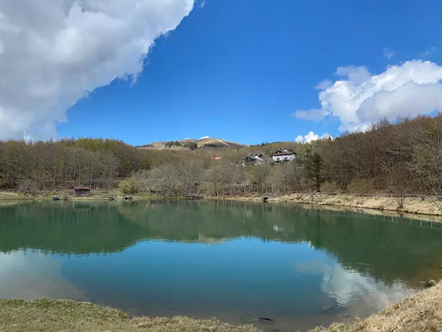 Immagine 21 di Appartamento in vendita  a Abetone Cutigliano