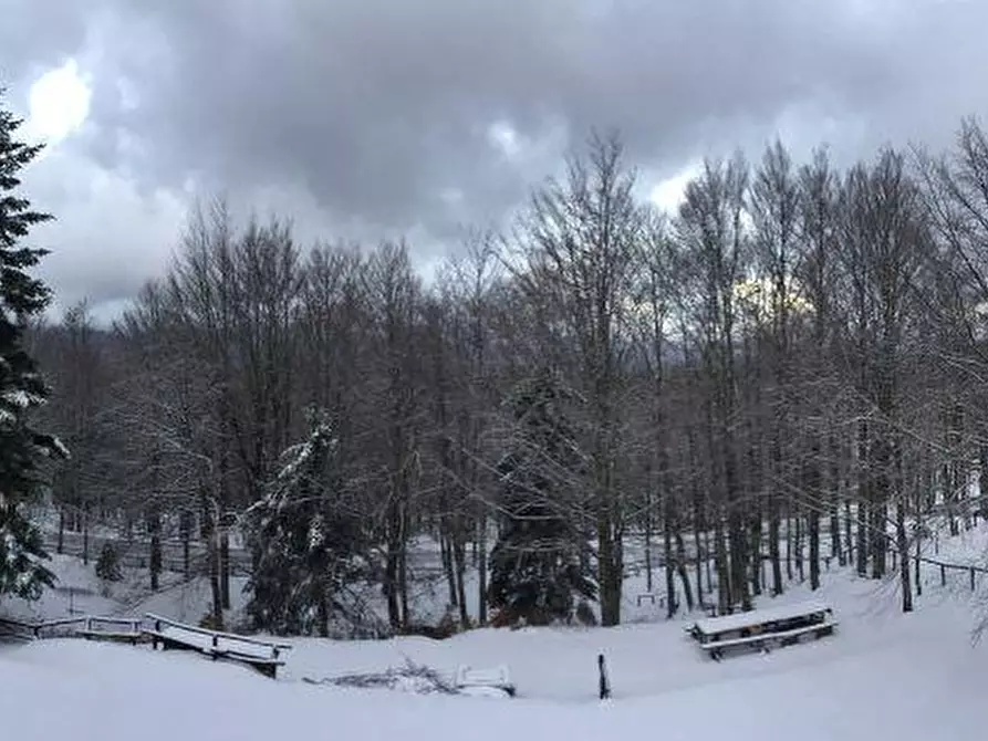 Immagine 19 di Appartamento in vendita  a Abetone Cutigliano