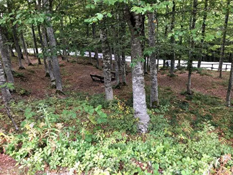 Immagine 17 di Appartamento in vendita  a Abetone Cutigliano