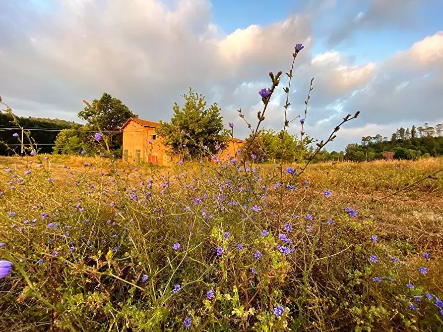 Immagine 5 di Casa semindipendente in vendita  a San Miniato