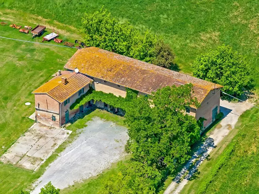 Immagine 15 di Terratetto in vendita  a San Miniato