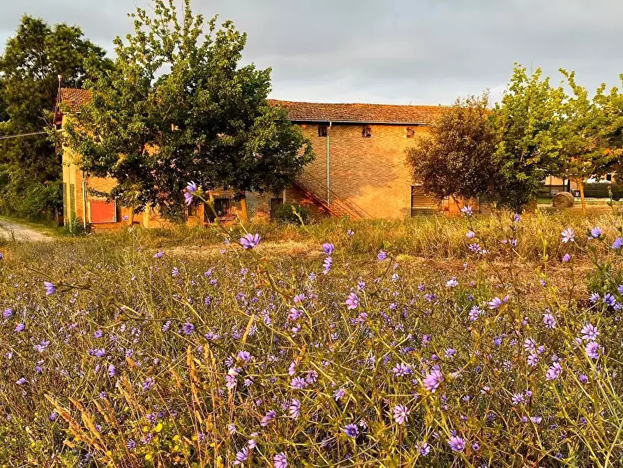 Immagine 7 di Casa semindipendente in vendita  a San Miniato