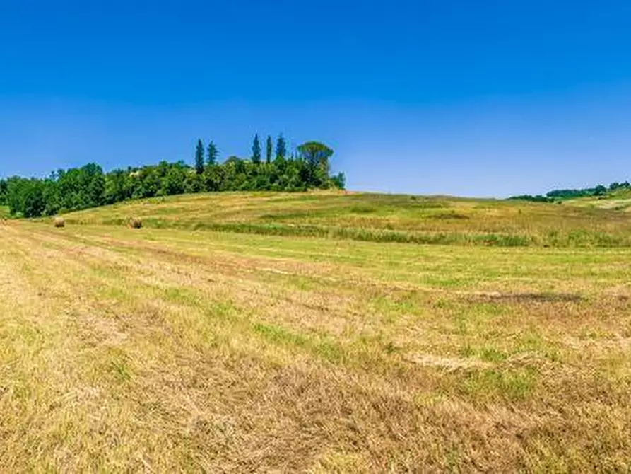 Immagine 12 di Casa semindipendente in vendita  a San Miniato