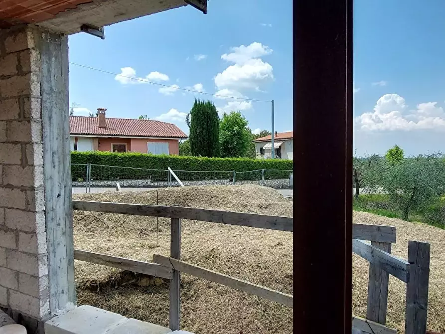 Immagine 2 di Villa in vendita  a Terricciola