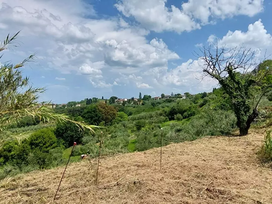 Immagine 5 di Villa in vendita  a Terricciola