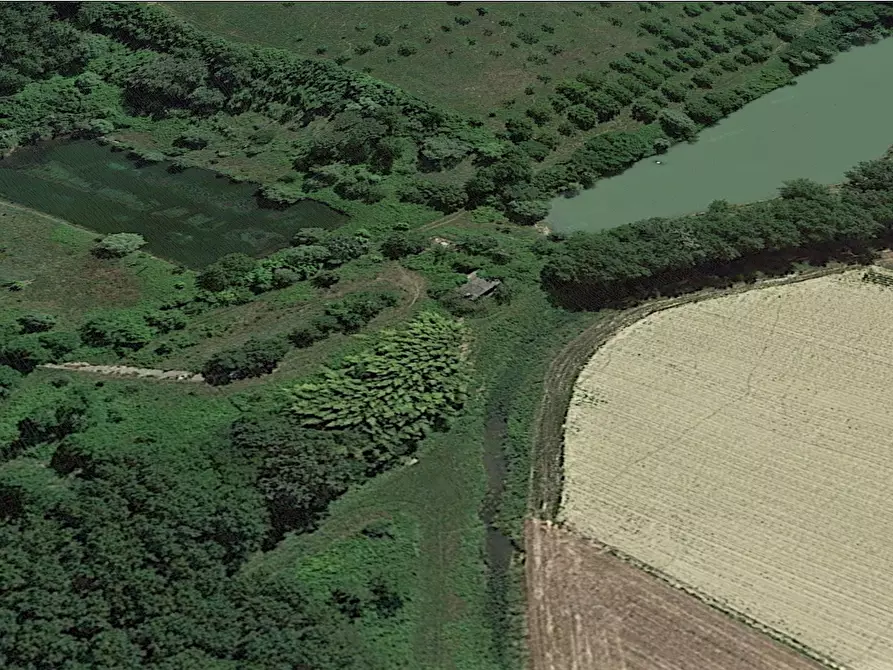 Immagine 3 di Terreno agricolo in vendita  a San Miniato