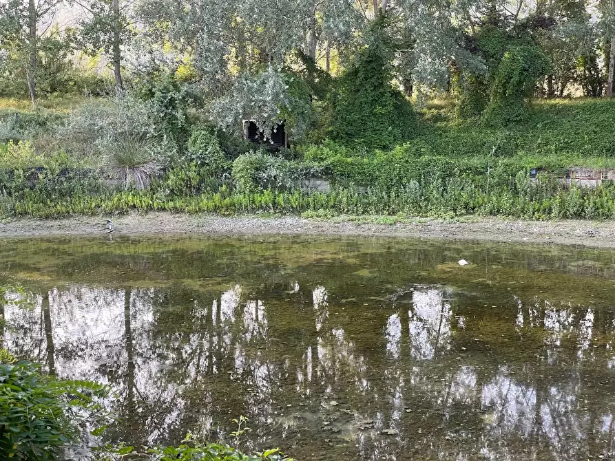 Immagine 6 di Terreno agricolo in vendita  a San Miniato