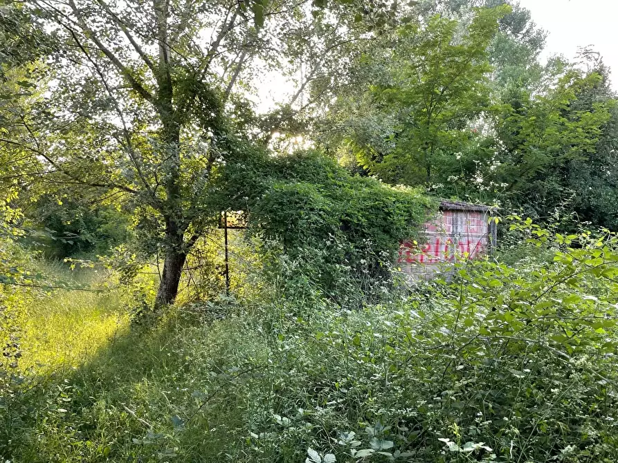 Immagine 11 di Terreno agricolo in vendita  a San Miniato