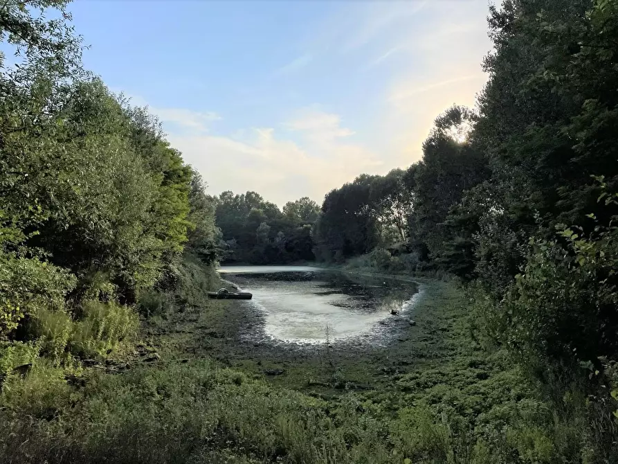 Immagine 12 di Terreno agricolo in vendita  a San Miniato