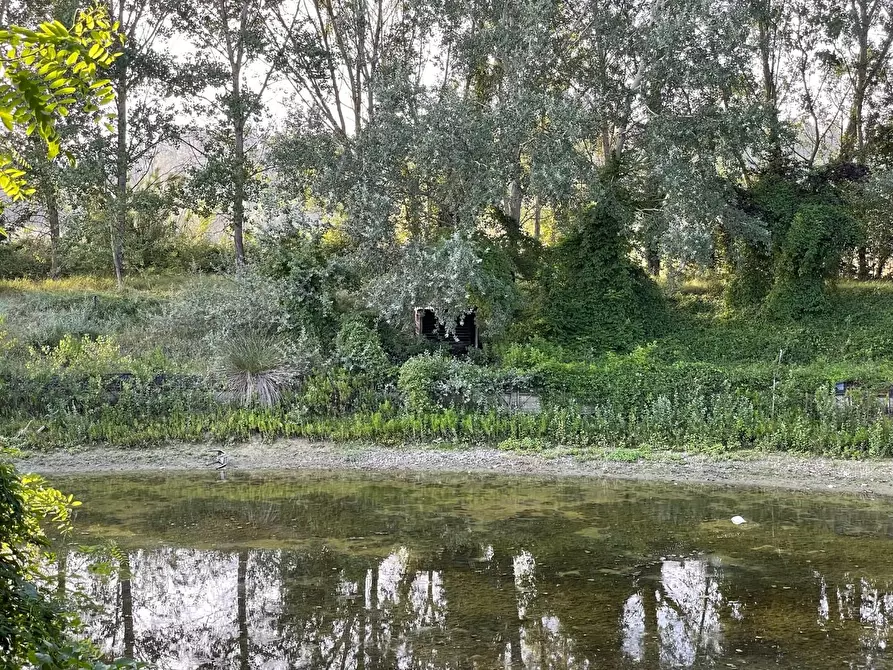Immagine 7 di Terreno agricolo in vendita  a San Miniato