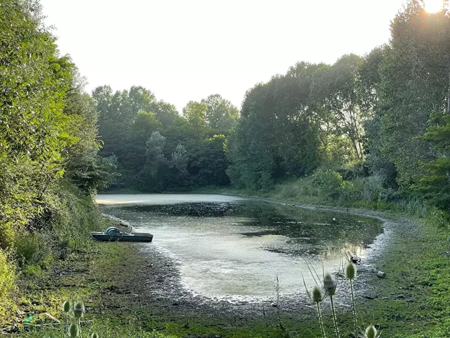 Immagine 4 di Terreno agricolo in vendita  a San Miniato