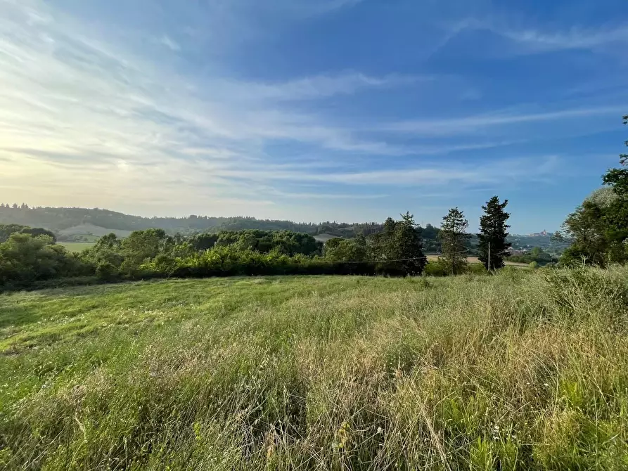 Immagine 13 di Terreno agricolo in vendita  a San Miniato