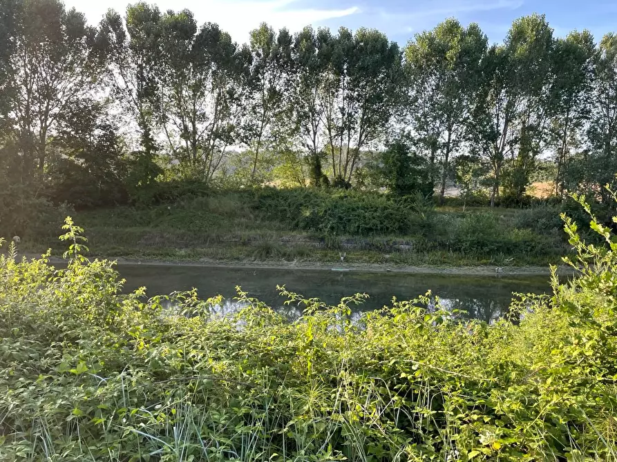 Immagine 5 di Terreno agricolo in vendita  a San Miniato