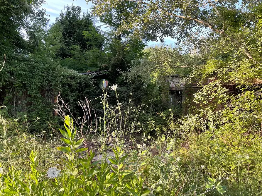 Immagine 8 di Terreno agricolo in vendita  a San Miniato