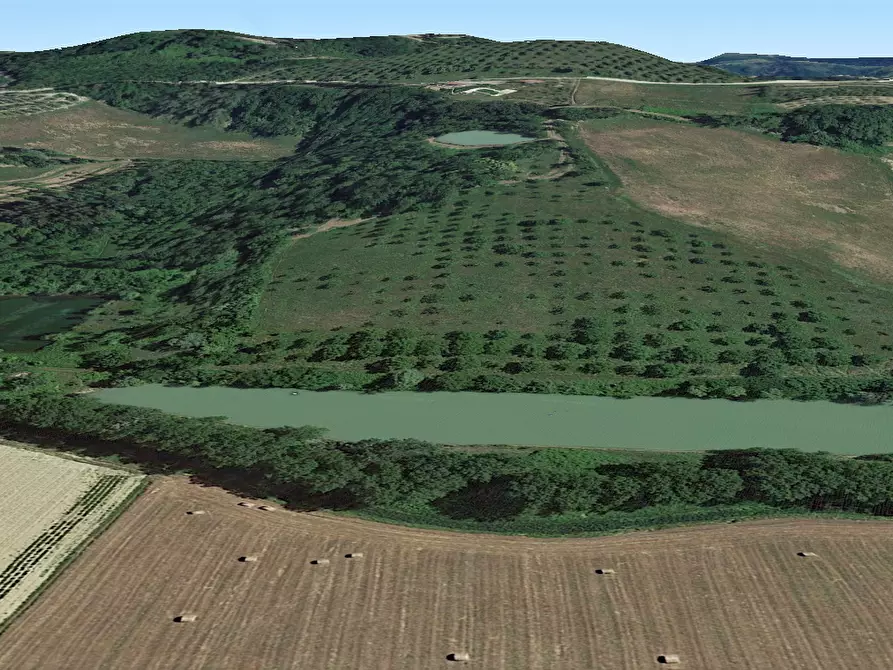 Immagine 2 di Terreno agricolo in vendita  a San Miniato
