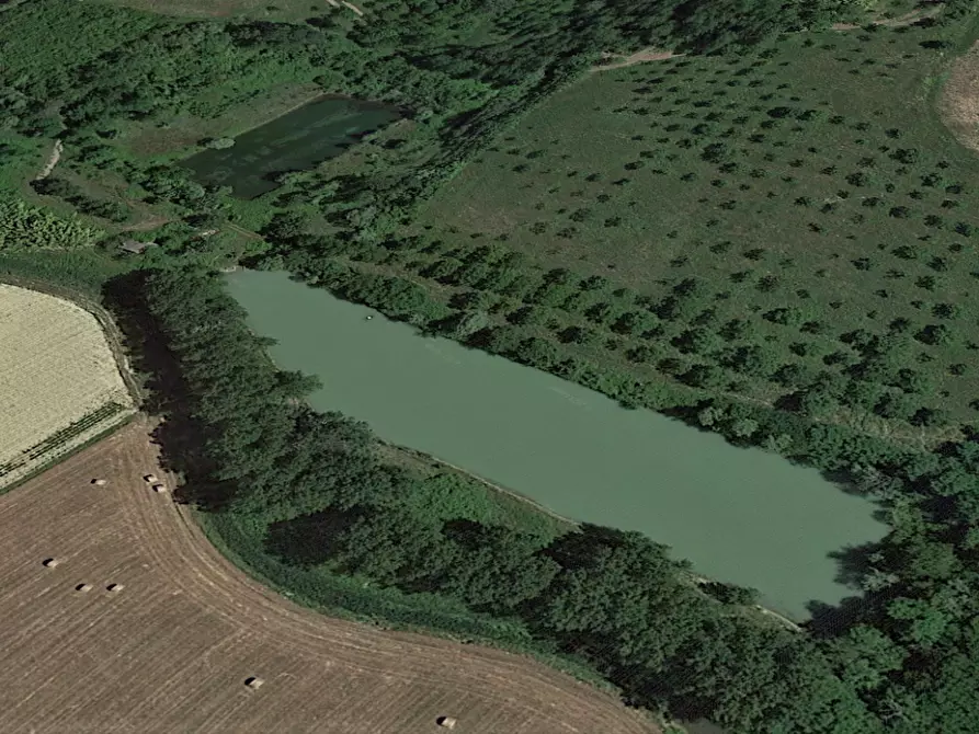 Immagine 1 di Terreno agricolo in vendita  a San Miniato