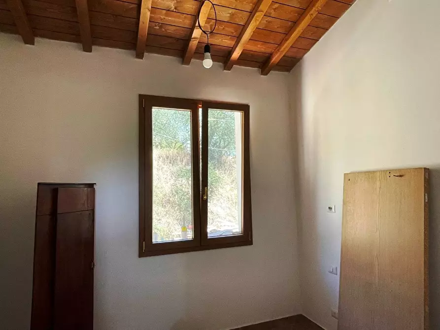 Immagine 9 di Azienda agricola in vendita  a San Miniato