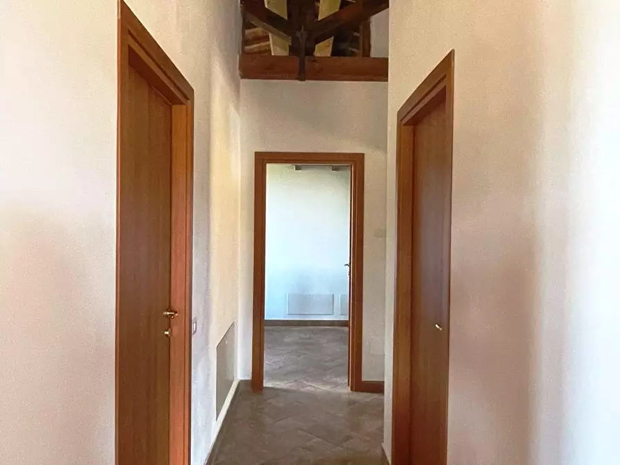 Immagine 7 di Azienda agricola in vendita  a San Miniato