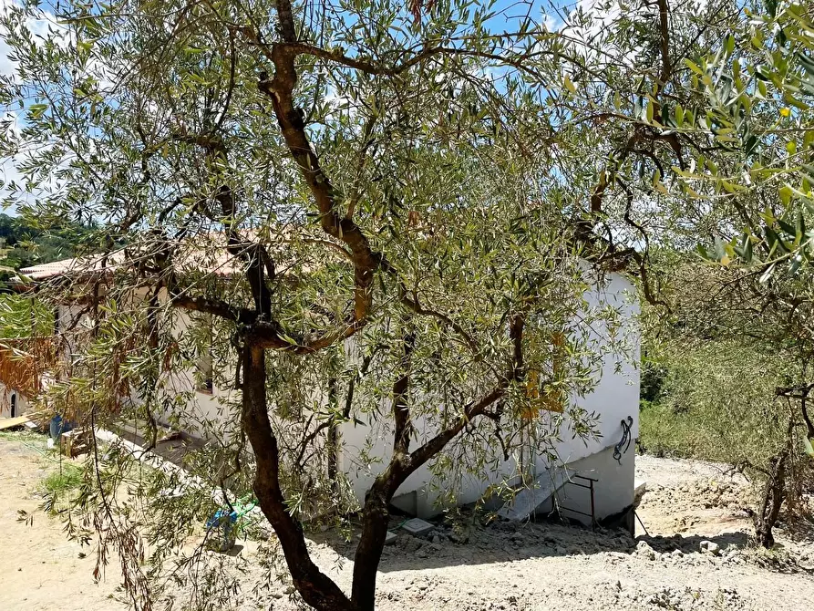 Immagine 14 di Azienda agricola in vendita  a San Miniato