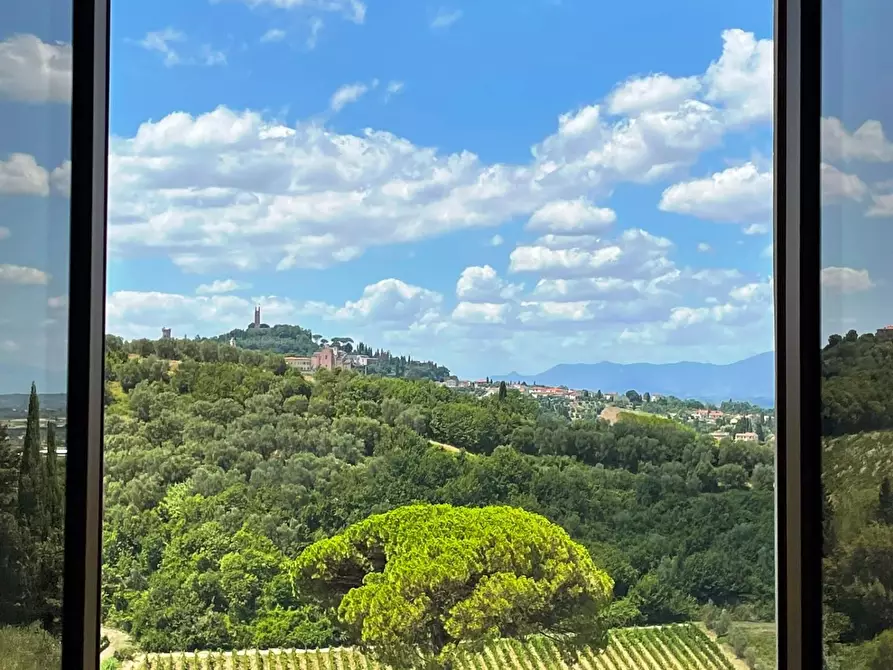 Immagine 11 di Azienda agricola in vendita  a San Miniato