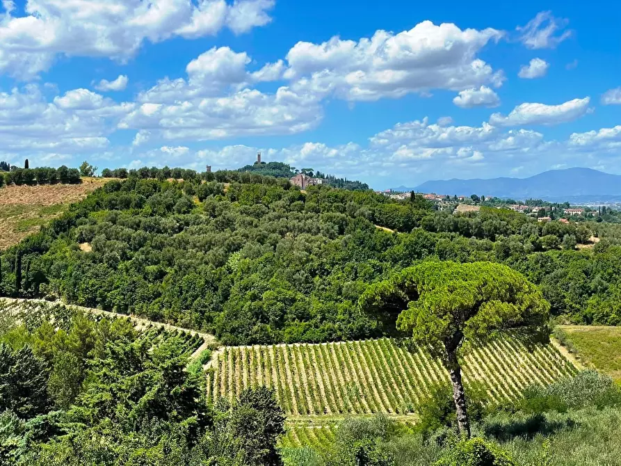 Immagine 3 di Azienda agricola in vendita  a San Miniato