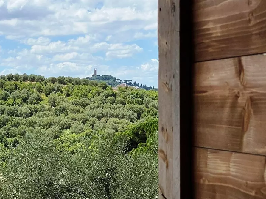 Immagine 35 di Azienda agricola in vendita  a San Miniato