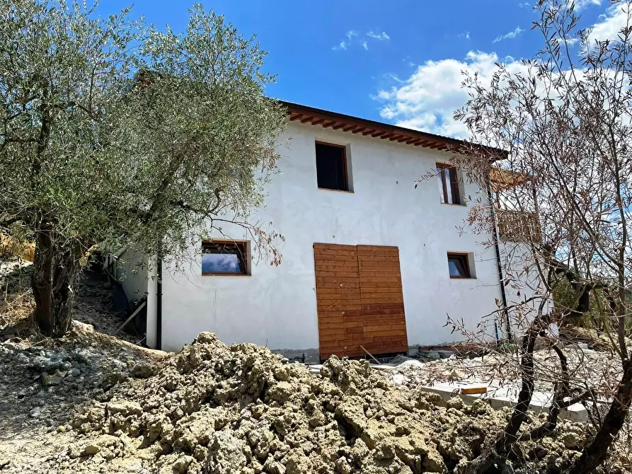 Immagine 16 di Azienda agricola in vendita  a San Miniato