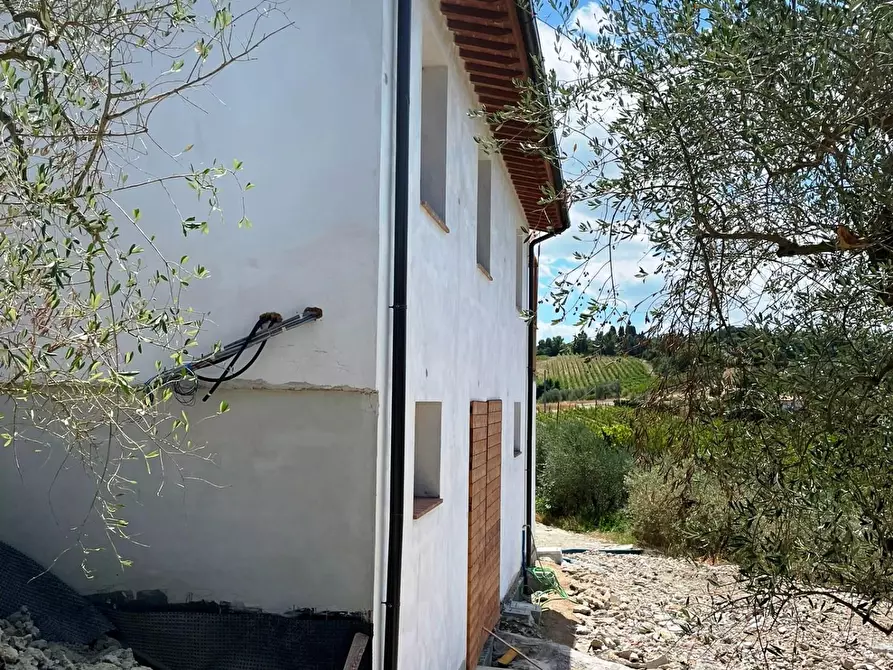 Immagine 32 di Azienda agricola in vendita  a San Miniato