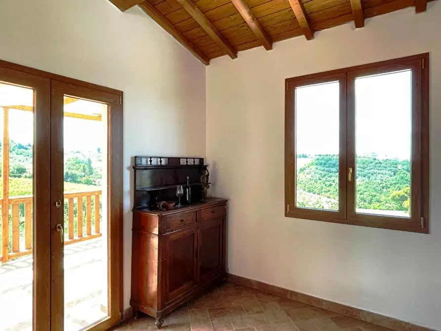 Immagine 26 di Azienda agricola in vendita  a San Miniato