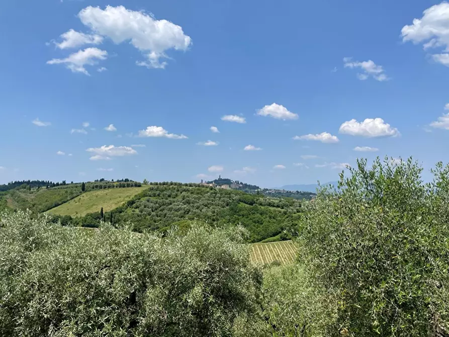 Immagine 44 di Azienda agricola in vendita  a San Miniato