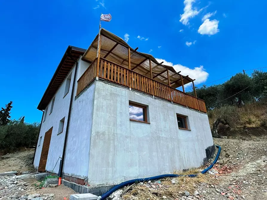 Immagine 33 di Azienda agricola in vendita  a San Miniato