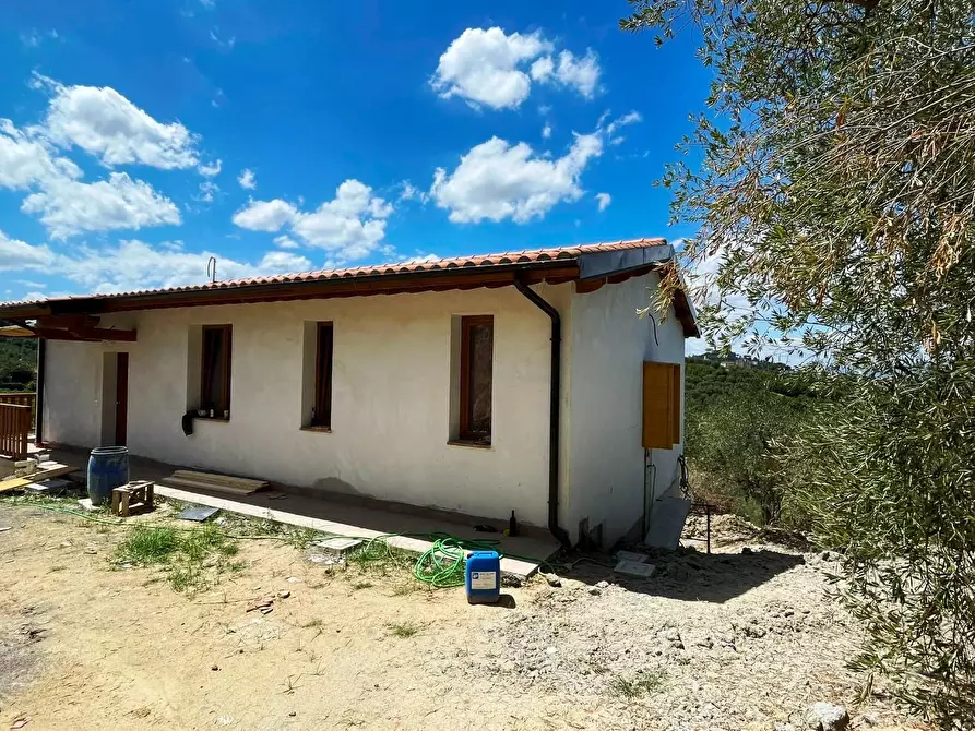 Immagine 31 di Azienda agricola in vendita  a San Miniato