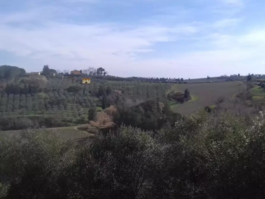 Immagine 46 di Azienda agricola in vendita  a San Miniato