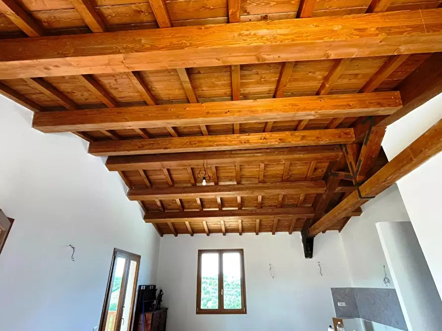 Immagine 25 di Azienda agricola in vendita  a San Miniato