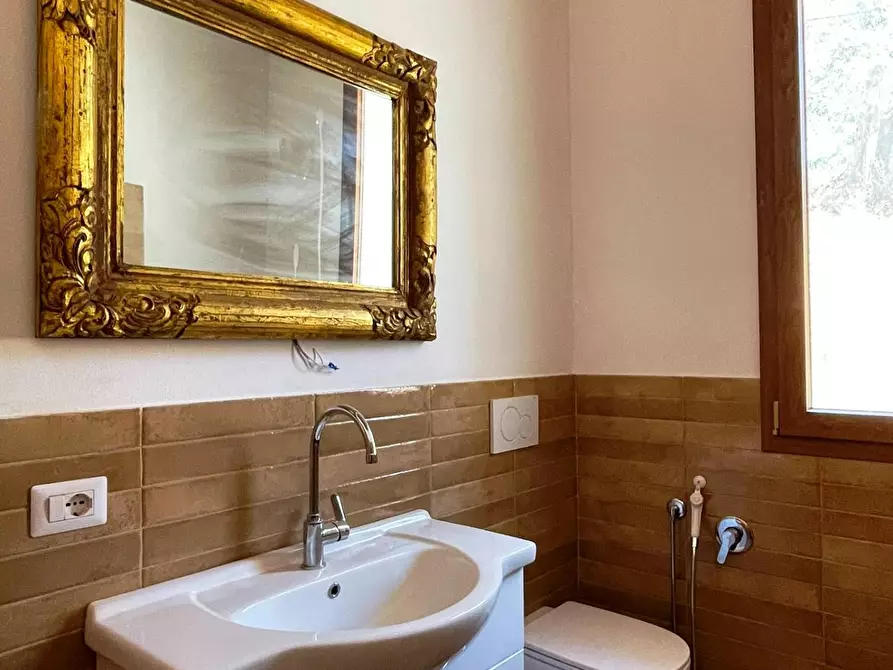 Immagine 28 di Azienda agricola in vendita  a San Miniato