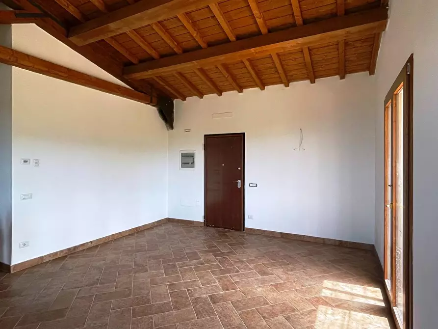 Immagine 24 di Azienda agricola in vendita  a San Miniato