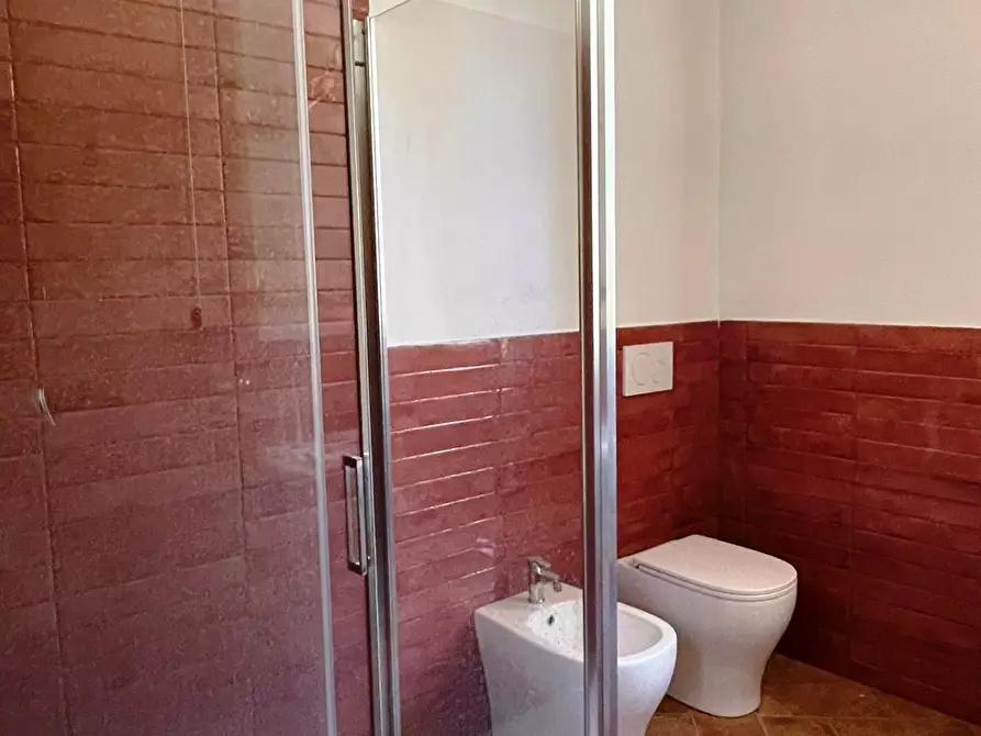 Immagine 13 di Azienda agricola in vendita  a San Miniato