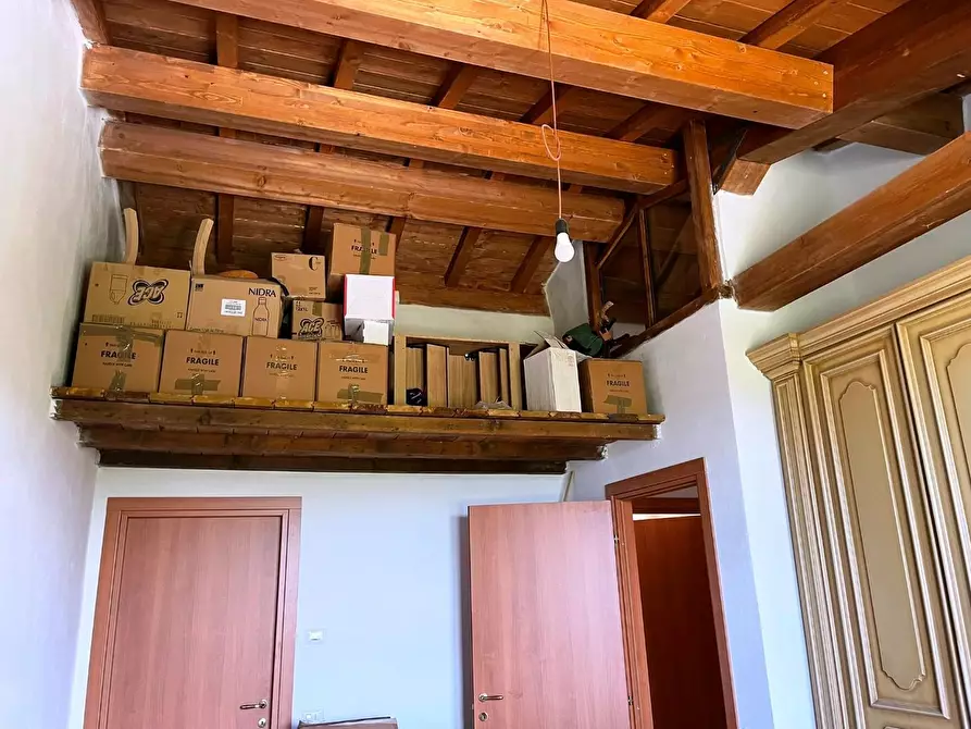 Immagine 8 di Azienda agricola in vendita  a San Miniato