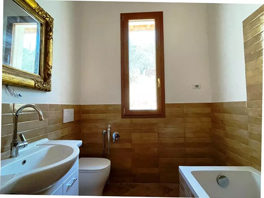 Immagine 12 di Azienda agricola in vendita  a San Miniato