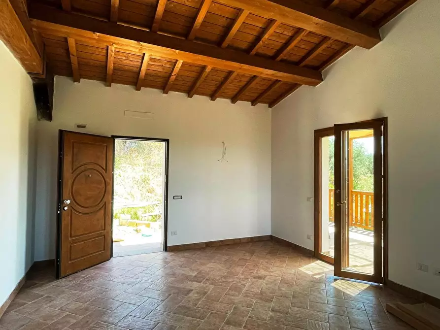 Immagine 4 di Azienda agricola in vendita  a San Miniato