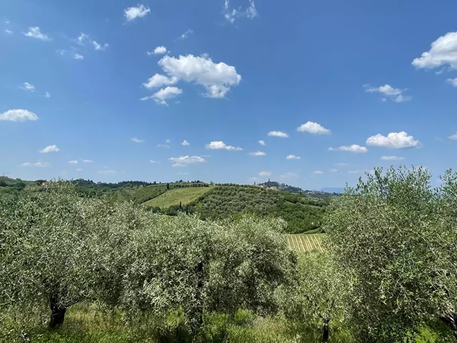 Immagine 45 di Azienda agricola in vendita  a San Miniato